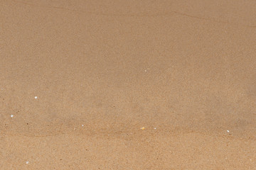 brown sand as background and texture