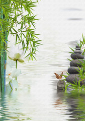 composition aquatique, lotus,bambous, papillon et galets 