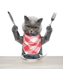 The hungry cat is going to eat a mouse. Isolated on white