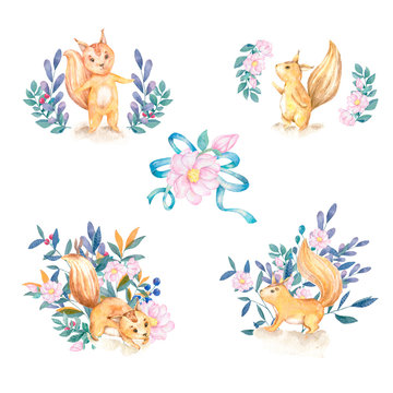 Watercolor style illustration of cartoon character. Squirrel set and flowers on white background