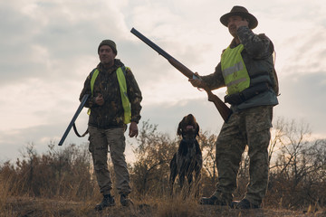 Hunters with a german drathaar and spaniel, pigeon hunting with dogs in reflective vests