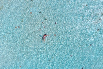 Caribbean Sea: Swimming with giant starfishs on the paradise beach. Fantastic and unbelievable! Great landscape and caribbean scene. Los Roques, Venezuela.