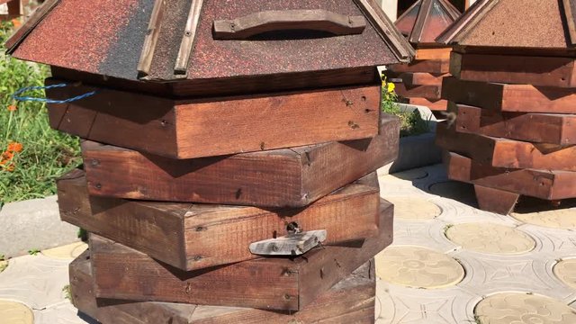 Impressive view on hardworking bees which bring honey to their hives on an apiary.
Row of beehives on wooden pillars lifted up, apiary, Bee farm Wooden colorful beehives in a row.