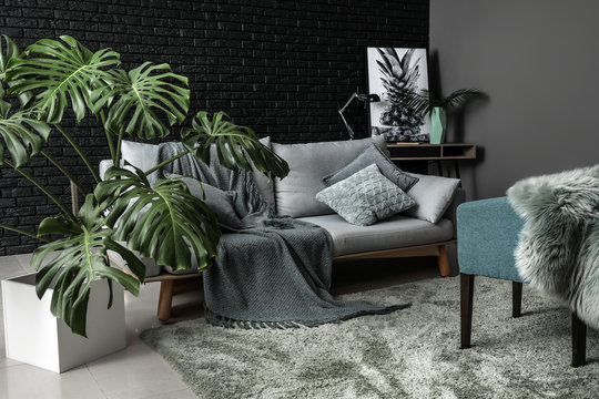 Green Tropical Plant In Interior Of Room