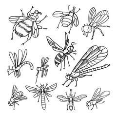 fly hand drawn sketch set. Big collection of doodle vector illustrations isolated on white background
