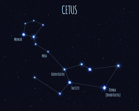 Cetus (The Whale) constellation, vector illustration with the names of basic stars against the starry sky