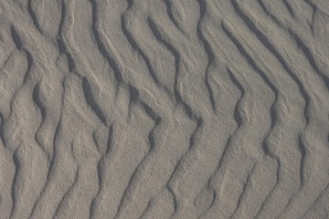 Texture of gray sand.
