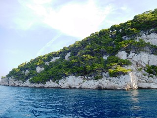 Naklejka premium Mountains with vegetation by the sea