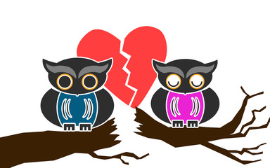 Owl couple break up on tree branch