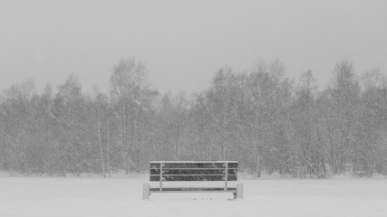 bench in the winter Park. snowfall. winter landscape
