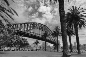 Sidney Harbour Bridge with palm trees