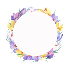 Spring frame with colorful crocus flowers. Hand painted in watercolor.
