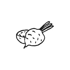 radish doodle vector sketch isolated on white background