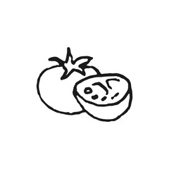 tomato doodle vector sketch isolated on white background