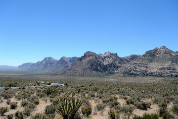 Red Rock Canyon National Conservation Area, Nevada, USA