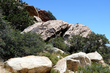 Hillside in Red Rock Canyon, Nevada, USA