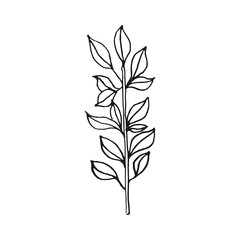 branch with leaves vector doodle sketch isolated on white background