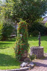 Schwarzäugige Susanne