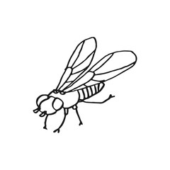 fly vector doodle sketch isolated on white background
