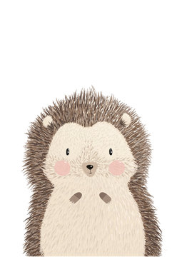 Cute Image Vector Illustration Of Adorable Hedgehog Isolated On White Background. Hand Drawing Hedgehog For Greeting Card, Decor For Nursery Baby And Kids Room. Wallpaper, Apparel, Invitation, Poster