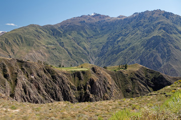 Kanion Colca w Andach peruwiańskich - obrazy, fototapety, plakaty