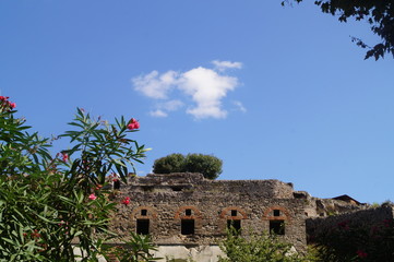 Obraz premium Ruins of the ancient city of Pompeii