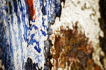 close-up oil painting on canvas