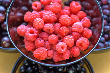 Raspberries, shadberries, gooseberry, currant in a bowls