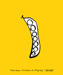 농산물 일러스트 / 손으로 그린 과일과 채소 그림