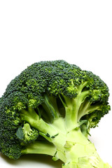 Raw broccoli isolated on a white background