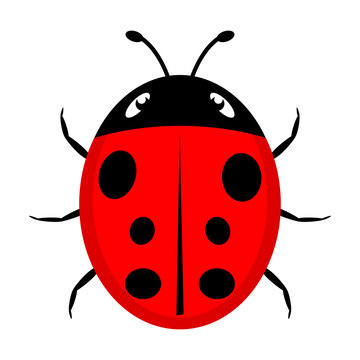 A beautiful simple design of a red ladybird 