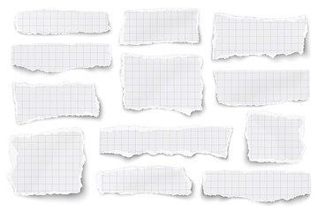 Set of checkered paper different shapes scraps isolated on white background. Vector paper mockup.