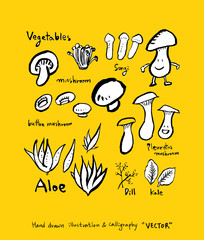 농산물 일러스트 / 손으로 그린 과일과 채소 그림