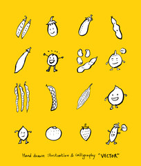 농산물 일러스트 / 손으로 그린 과일과 채소 그림