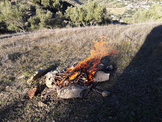 Flame