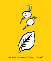 농산물 일러스트 / 손으로 그린 과일과 채소 그림