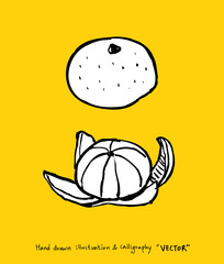 농산물 일러스트 / 손으로 그린 과일과 채소 그림