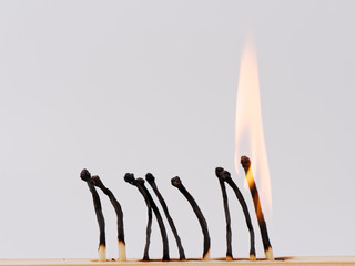 matches sulfur burned. che on a white background