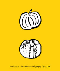 농산물 일러스트 / 손으로 그린 과일과 채소 그림
