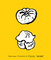 농산물 일러스트 / 손으로 그린 과일과 채소 그림