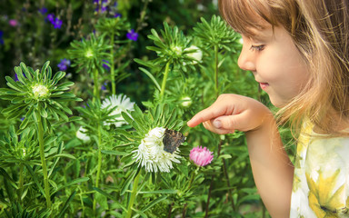 child with a butterfly in his hands. Selective focus.