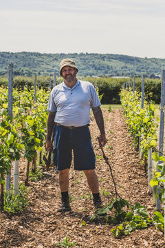 Man standing in between rows of vines at a vineyard holding a grubbing mattock, smiling at camera.