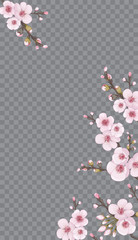 Theme design fabric, invitations, packaging, cards, story. Handmade background in Chinese style. Magenta on white fond. Spring frame vertical of sakura flowers.