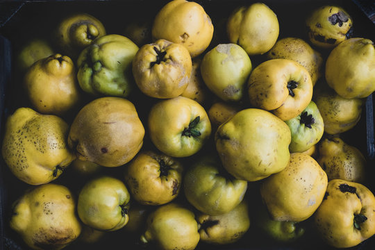 High angle close up of a crate of fresh quinces fruits.