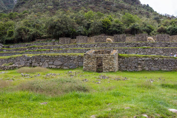 ruins of old city