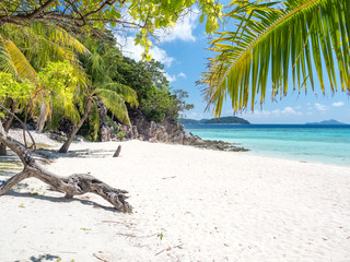 Tropical beach with green palm trees, pilippine boats, blue sky, turquoise water and white sand. Paradise. Philippines, November, 2018