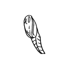 butterfly doll vector doodle sketch isolated on white background