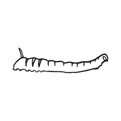 butterfly caterpillar vector doodle sketch isolated on white background