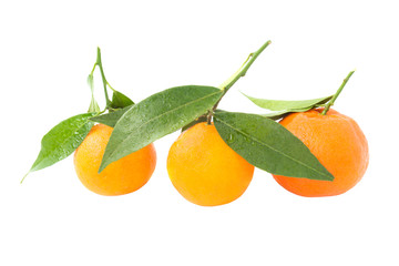 Orange mandarins with green leaves isolated on white background