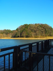 Obraz premium 柵と冬の公園風景
